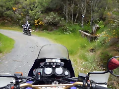DSCN1161 DSCN1161