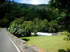 DSCN6191 DSCN6191