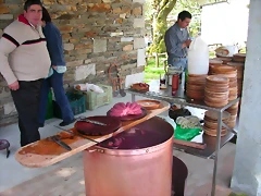 siembra 035
