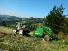 DSCN2387 DSCN2387
