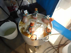 DSCN0760 DSCN0760