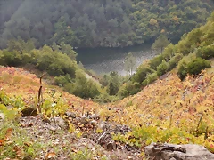 DSCN9917 DSCN9917