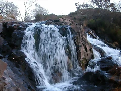 DSCN6693 DSCN6693