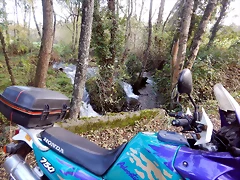 DSCN0530 DSCN0530