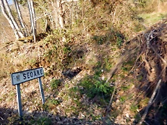 DSCN2888 DSCN2888