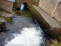 DSCN0583 DSCN0583