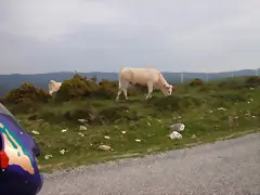 reglaje 014 reglaje 014