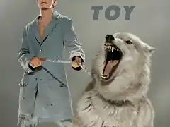 toy