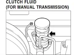 clutch fluid