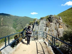 DSCN7984 DSCN7984
