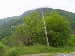 S6006210 S6006210