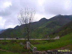 S6006203 S6006203