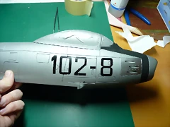 P1100113 P1100113