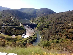 DSCN5473 DSCN5473