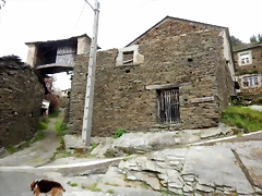DSCN4309 DSCN4309