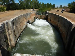 DSCN8111 DSCN8111