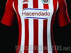 Equipacion guardalajarra