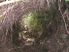 PICT0074