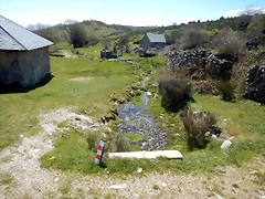 DSCN9571 DSCN9571