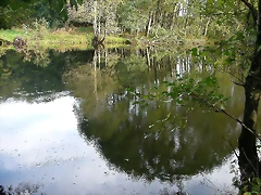 DSCN5294 DSCN5294