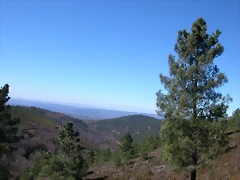 DSCN7930 DSCN7930