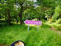 DSCN5218 DSCN5218