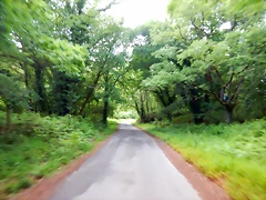 DSCN5219 DSCN5219