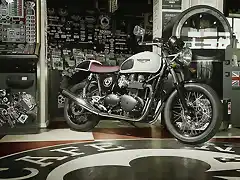 Thruxton Ace Store Shot