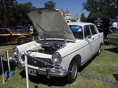 SDC13688 SDC13688