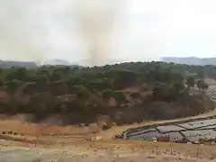 Incendio en Nerva proximo al vertedero-24.05