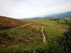 DSCN8972