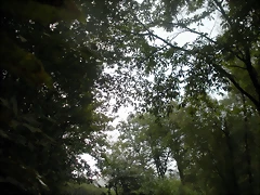 DSCN8418 DSCN8418