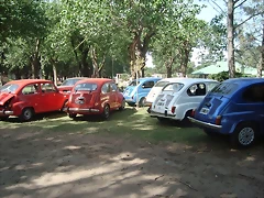 DSC07246