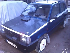 panda