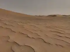 tormenta entre las dunas