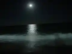 wpid-playa_-noche_luna11-jpg1