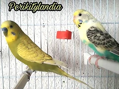 FB_IMG_1502985226747 FB_IMG_1502985226747