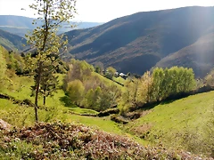 DSCN0136 DSCN0136