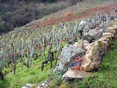 DSCN1342 DSCN1342