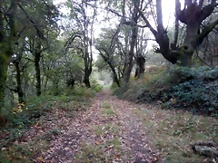 DSCN8482
