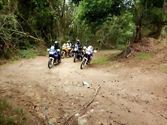 DSCN5311 DSCN5311