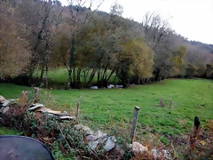 DSCN0559 DSCN0559