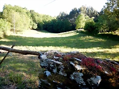 DSCN2384'2 DSCN2384'2