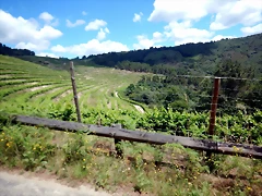 DSCN7846 DSCN7846