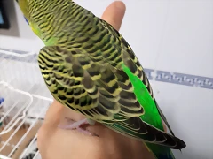 20190719_234722 20190719_234722