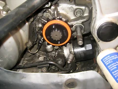 IMG_0303 IMG_0303
