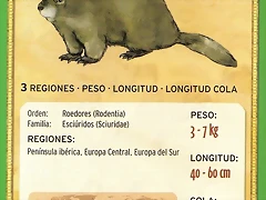 marmota alpina