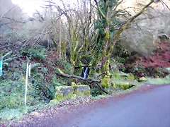 DSCN1537 DSCN1537