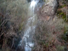 DSCN2590 DSCN2590