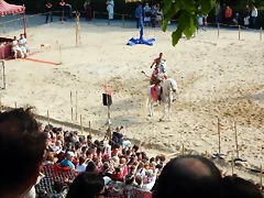 DSCN3923 DSCN3923